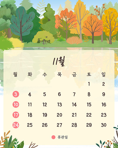 11월 일정표