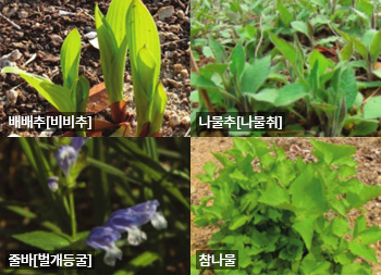 이미지입니다. 자세한 설명은 아래를 참조해주세요.